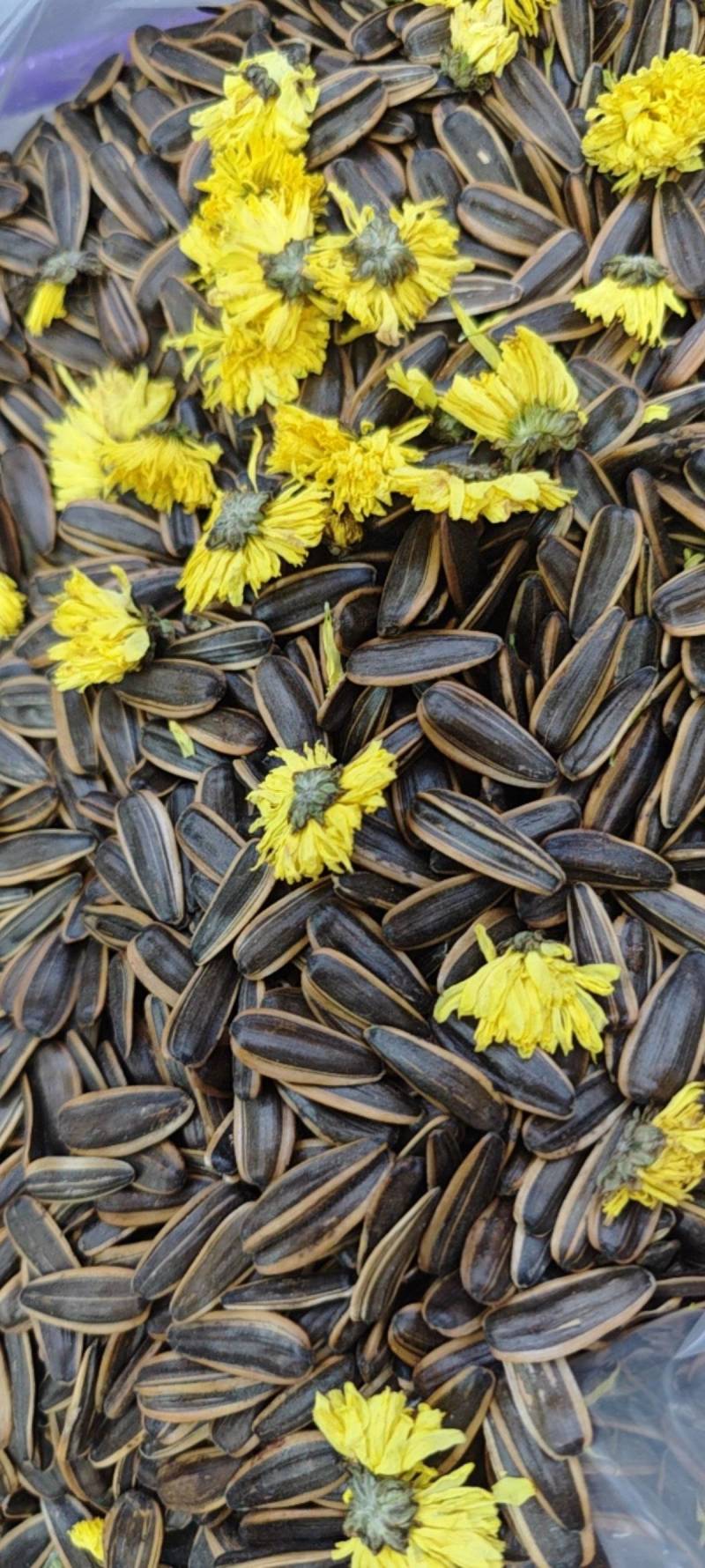 河南郑州新货葵花子10斤焦糖红枣五香茶韵奶香原味菊花陈皮
