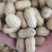 308罗汉双仁果花生种子，提纯比重双色选