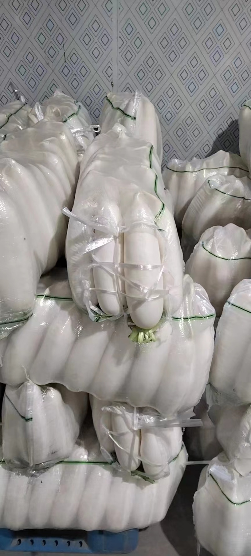 （热销）精品白萝卜，量大从优，各种规格品质，供应市场团购