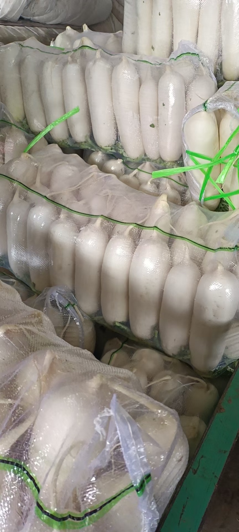 （热销）精品白萝卜，量大从优，各种规格品质，供应市场团购