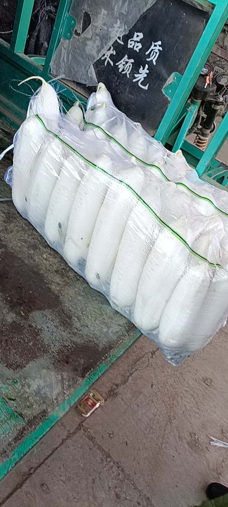（热销）精品白萝卜，量大从优，各种规格品质，供应市场团购
