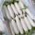 （热销）精品白萝卜，量大从优，各种规格品质，供应市场团购
