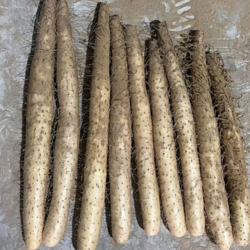 榆林山药，量大优惠，提供分拣，水洗服务，诚信经营，合作共