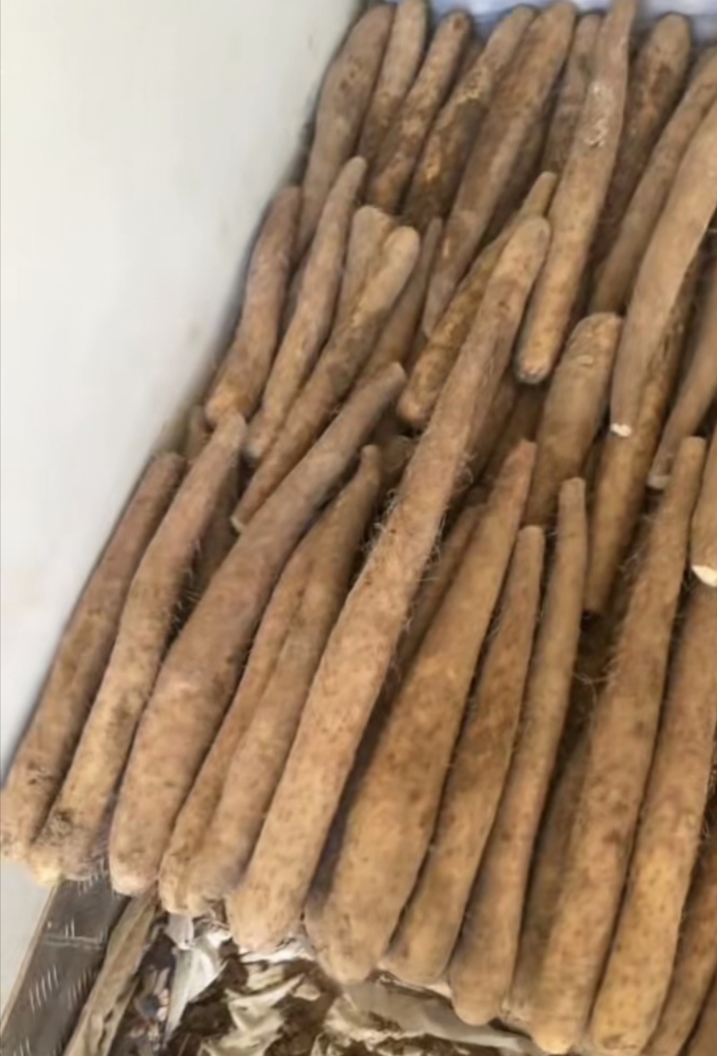 榆林山药，量大优惠，提供分拣，水洗服务，诚信经营，合作共
