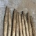 榆林山药,量大优惠,提供分拣,水洗服务,诚信经营,合作共