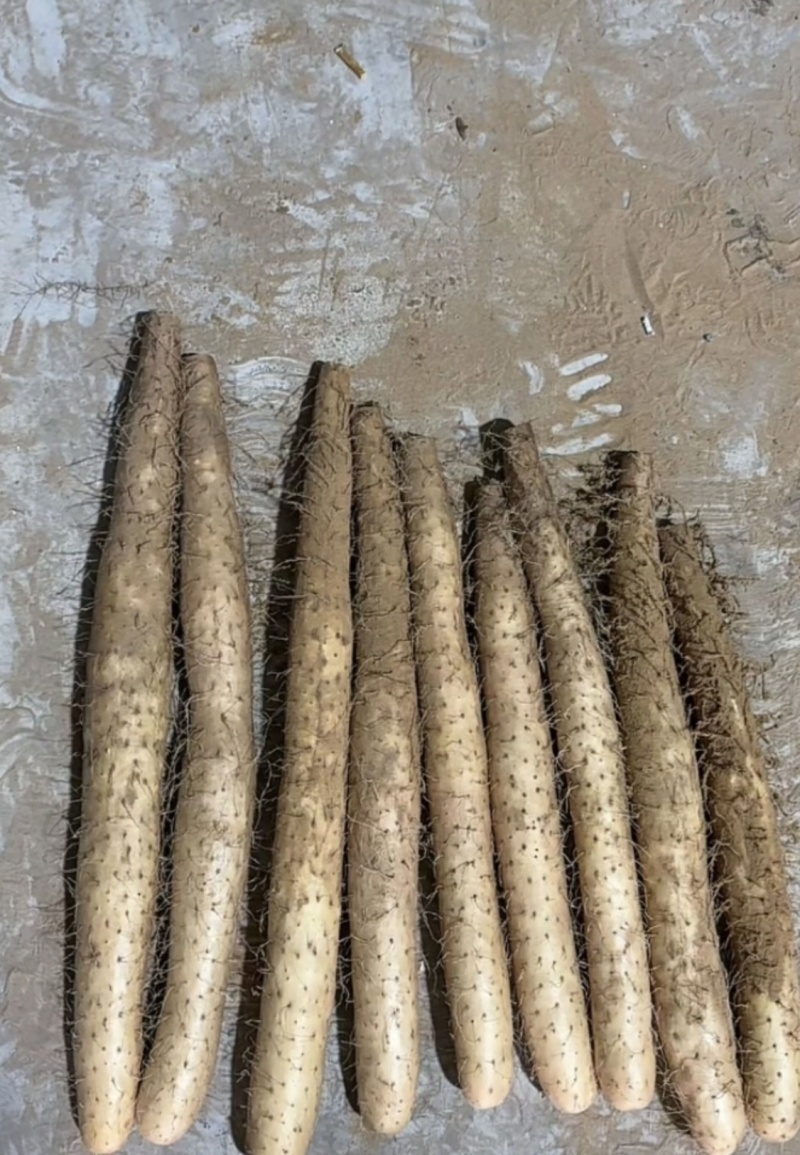 榆林山药，量大优惠，提供分拣，水洗服务，诚信经营，合作共