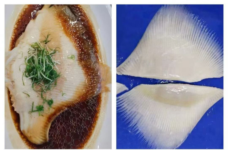 瑶鱼翅老板鱼鱼鳍新鲜速冻商用大鱼翅魔鬼鱼鱼翅鳐鱼翅