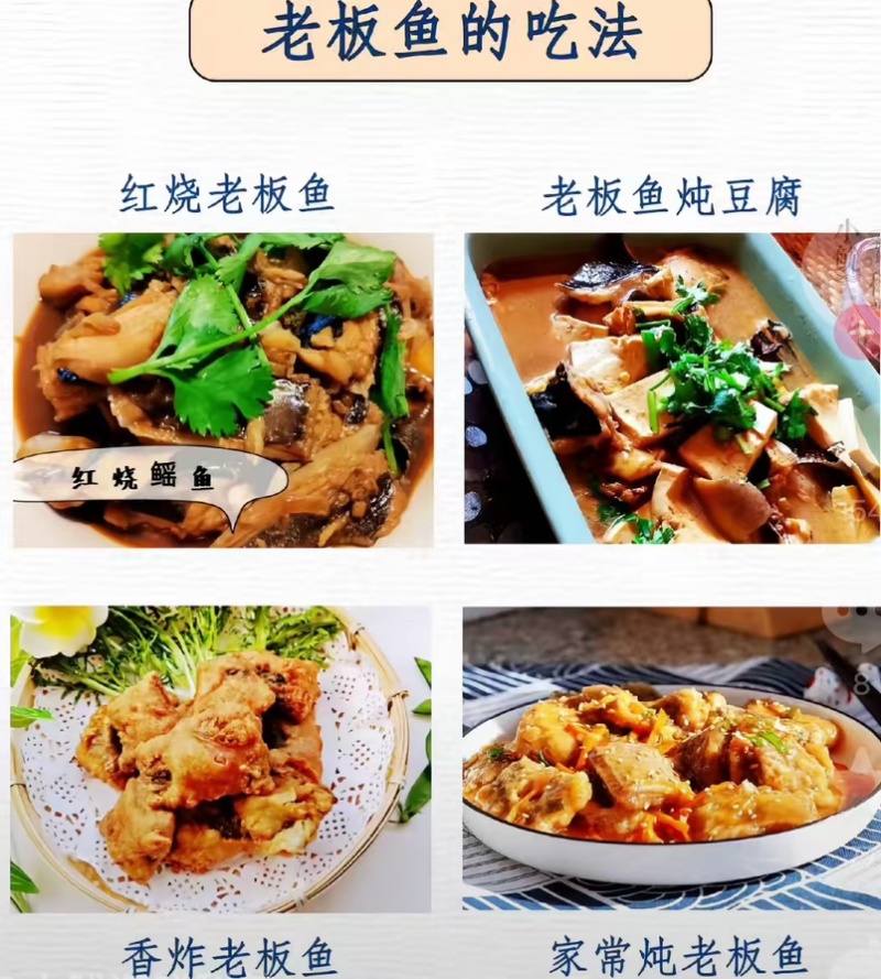 瑶鱼翅老板鱼鱼鳍新鲜速冻商用大鱼翅魔鬼鱼鱼翅鳐鱼翅