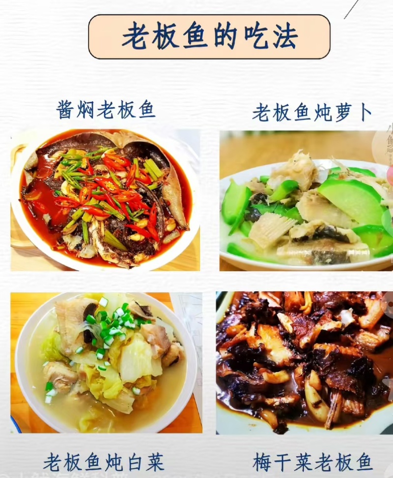 瑶鱼翅老板鱼鱼鳍新鲜速冻商用大鱼翅魔鬼鱼鱼翅鳐鱼翅