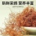 中药材玉米须茶农家纯干苞米无杂质泡水泡茶各种规格批发零售