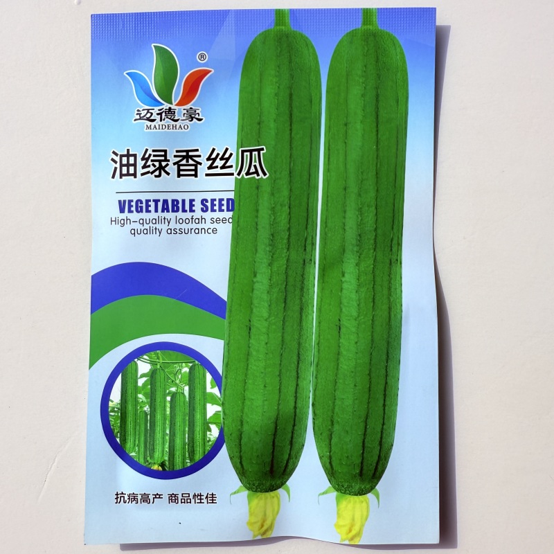 迈德豪油亮香丝瓜一代杂交早熟长势强瓜圆筒形肉厚香味浓