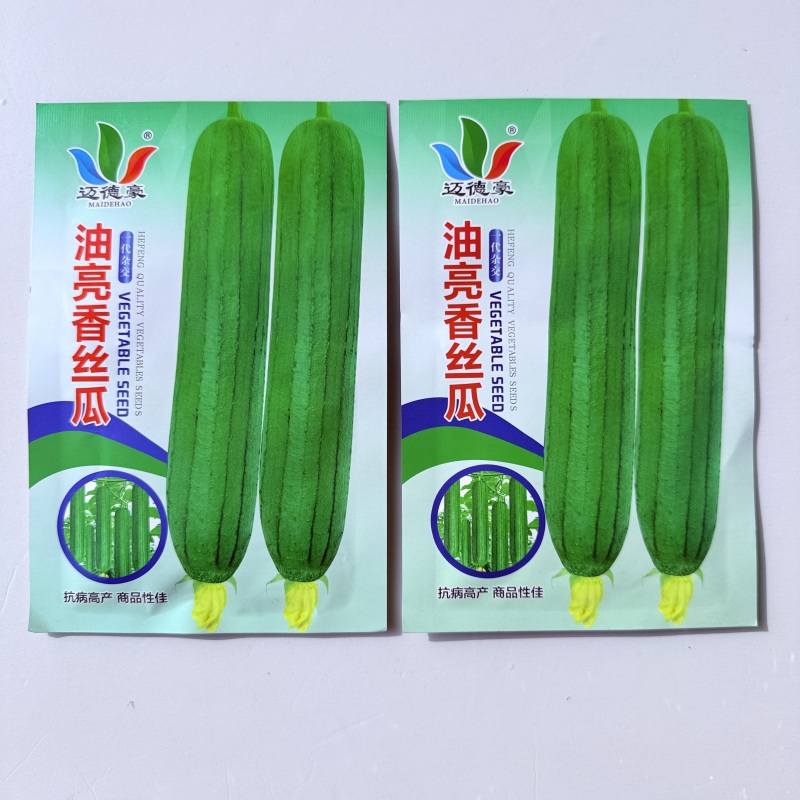 迈德豪油亮香丝瓜一代杂交早熟长势强瓜圆筒形肉厚香味浓