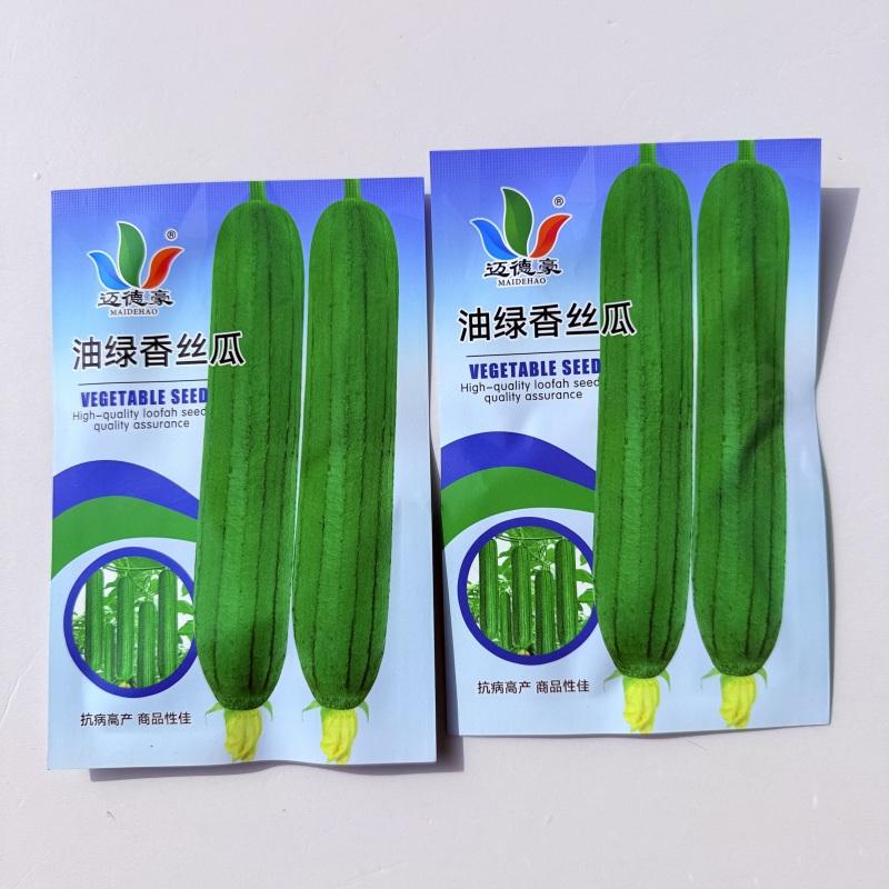 迈德豪油亮香丝瓜一代杂交早熟长势强瓜圆筒形肉厚香味浓