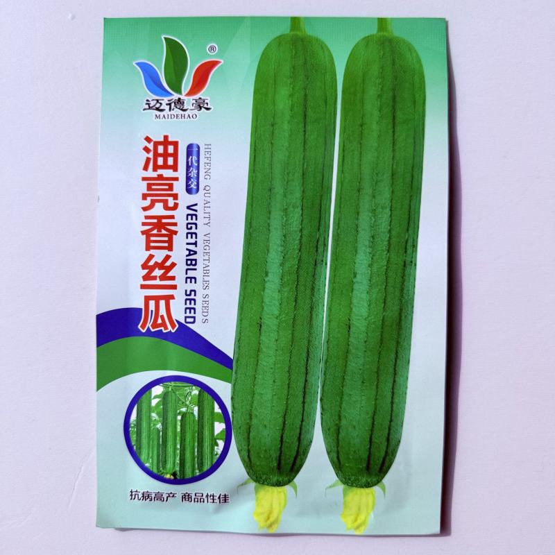 迈德豪油亮香丝瓜一代杂交早熟长势强瓜圆筒形肉厚香味浓