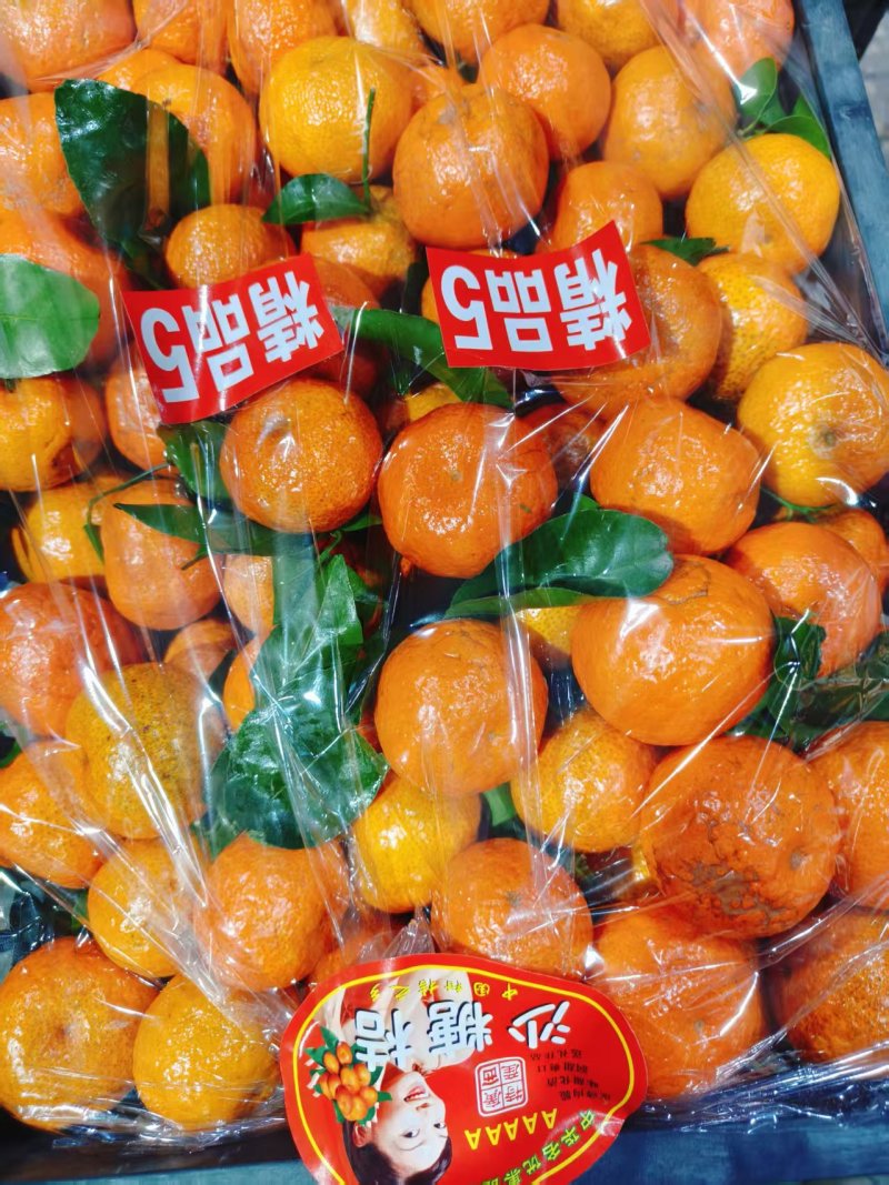 广西砂糖橘（承接电商商超市场外贸出口）全国发货