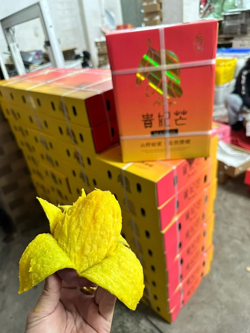 海南贵妃芒树上熟承接一件代发支持各电商平台