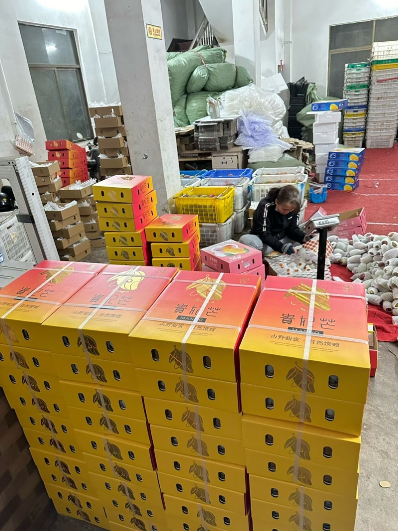 海南贵妃芒树上熟承接一件代发支持各电商平台