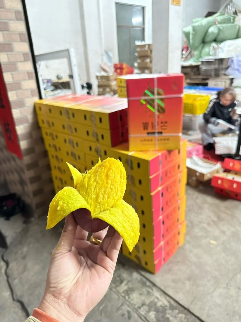 海南贵妃芒树上熟承接一件代发支持各电商平台