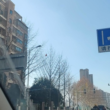 安徽芜湖种鸡场鸡粪大量免费