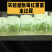 安阳滑县吴姐红薯苗育苗基地