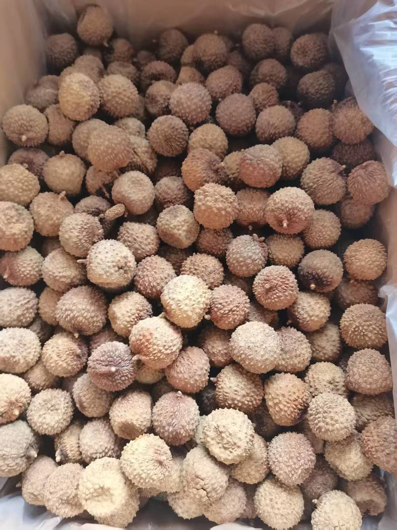 今年新货高州桂味荔枝干核小肉厚自家晒干特靓广东干荔枝泡水大果
