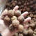 今年新货高州桂味荔枝干核小肉厚自家晒干特靓广东干荔枝泡水大果
