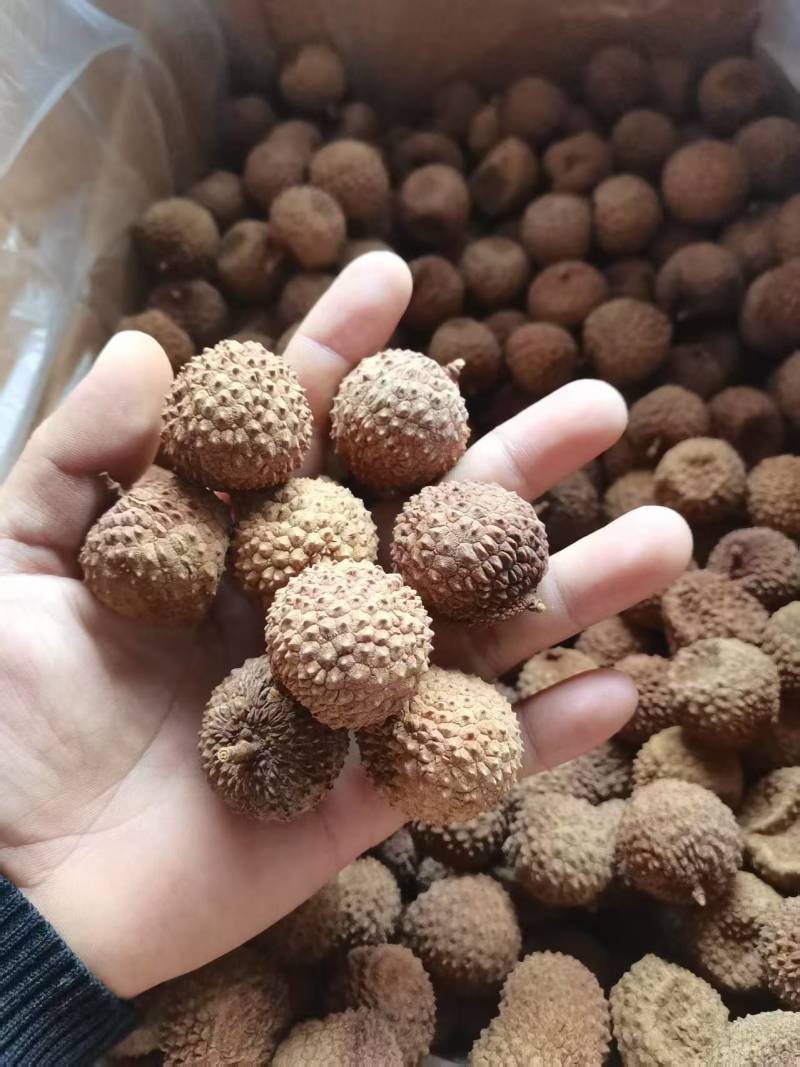 今年新货高州桂味荔枝干核小肉厚自家晒干特靓广东干荔枝泡水大果