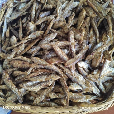 马口鱼鱼干，干虾，干白条