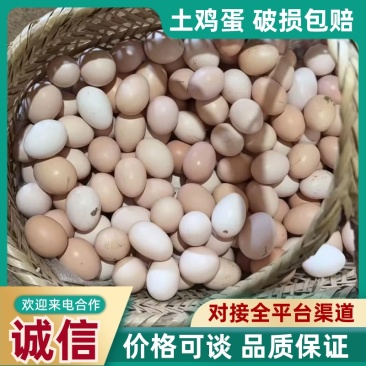 散养土鸡蛋