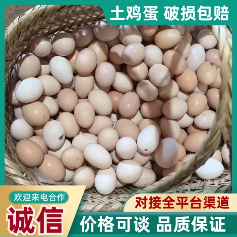 散养土鸡蛋