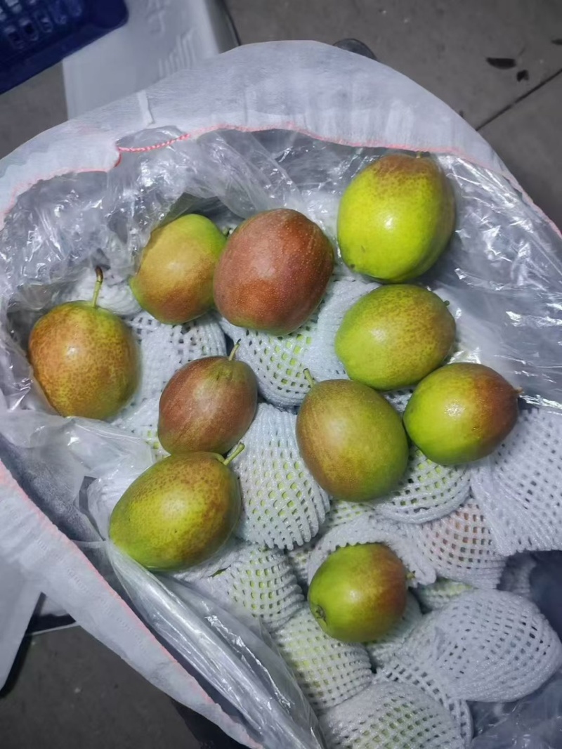 精品礼盒香梨，香梨礼盒4元一箱，产地直销源头工厂质量保证