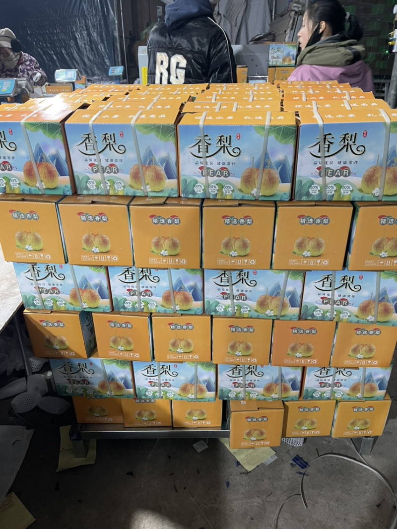 精品礼盒香梨，香梨礼盒4元一箱，产地直销源头工厂质量保证