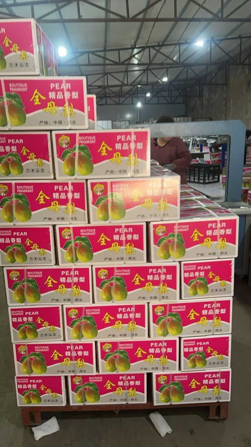 精品礼盒香梨，香梨礼盒4元一箱，产地直销源头工厂质量保证