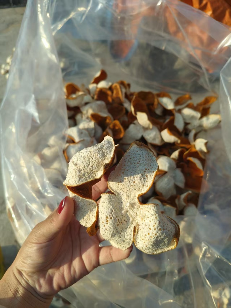 广西浦北地区的特色特产，由茶枝柑的果皮经晒干泡茶收藏