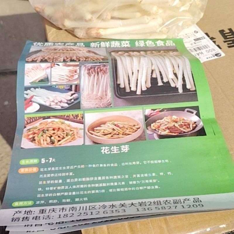 苗芽菜