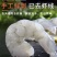 包邮）新鲜大虾仁开背去虾线冷冻虾仁海鲜真空包装活虾现剥