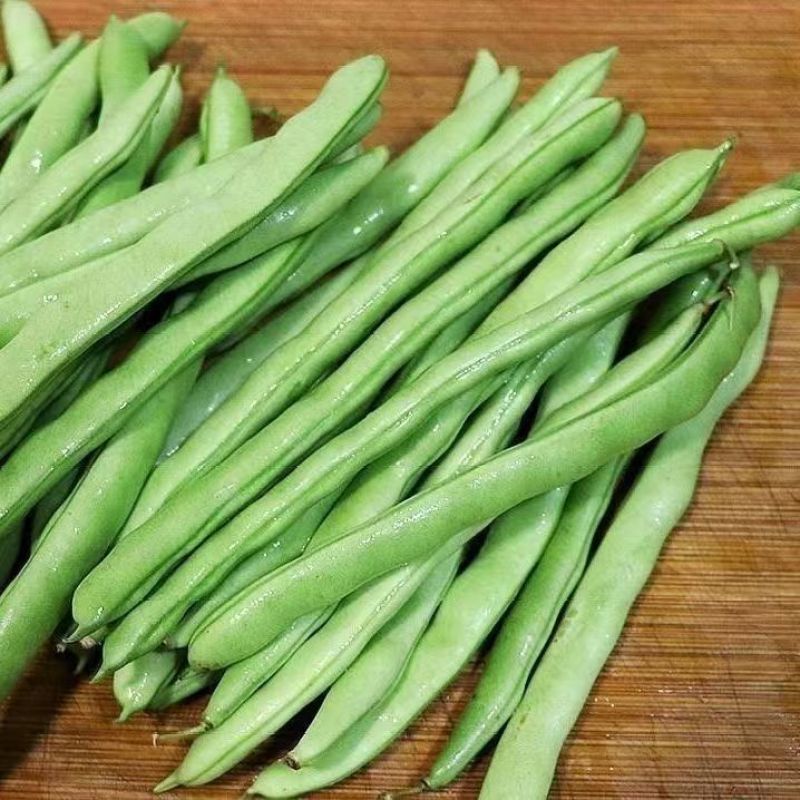 云南一手货源四季豆新鲜上市价格美丽价对接全国量大从优欢迎