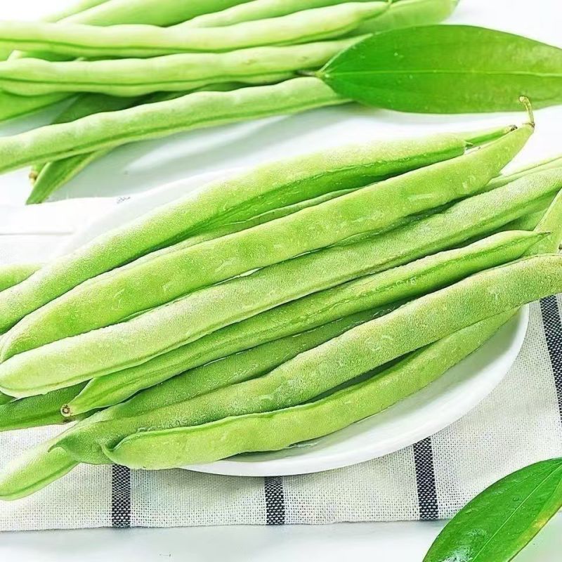 云南一手货源四季豆新鲜上市价格美丽价对接全国量大从优欢迎