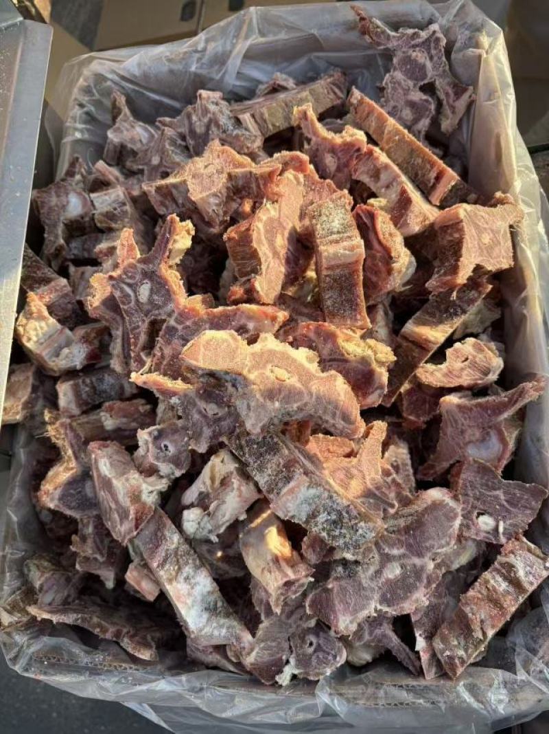 多肉羊蝎子