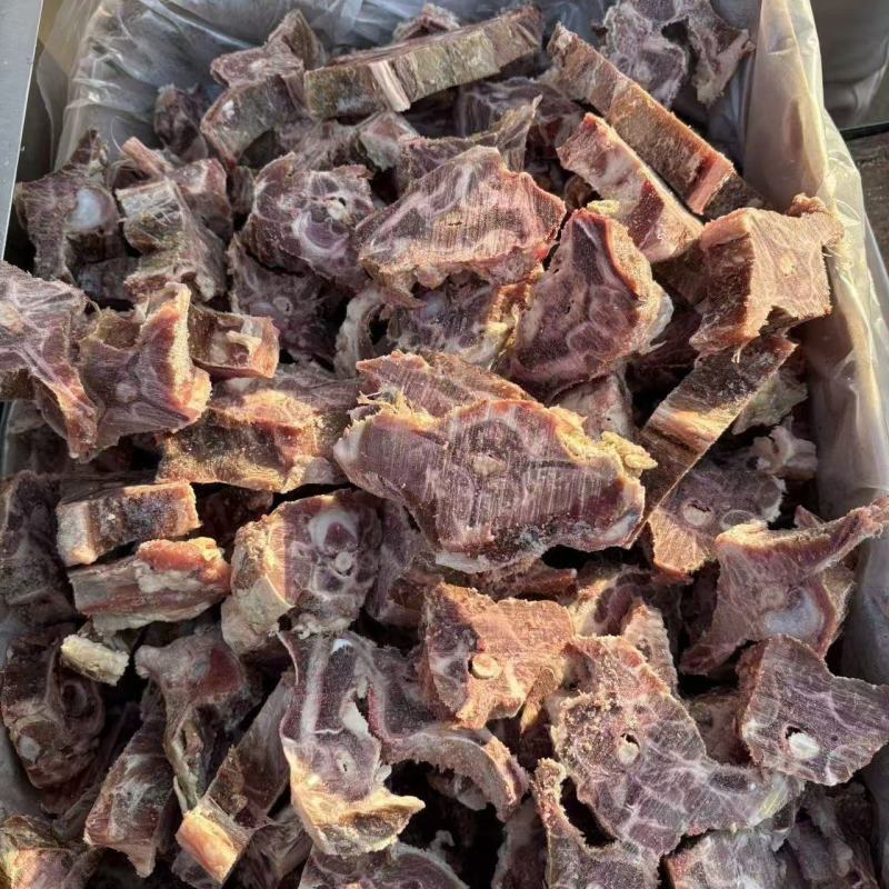 多肉羊蝎子