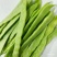 云南新鲜上市扁豆对接全国市场价格美丽质量好欢迎询价