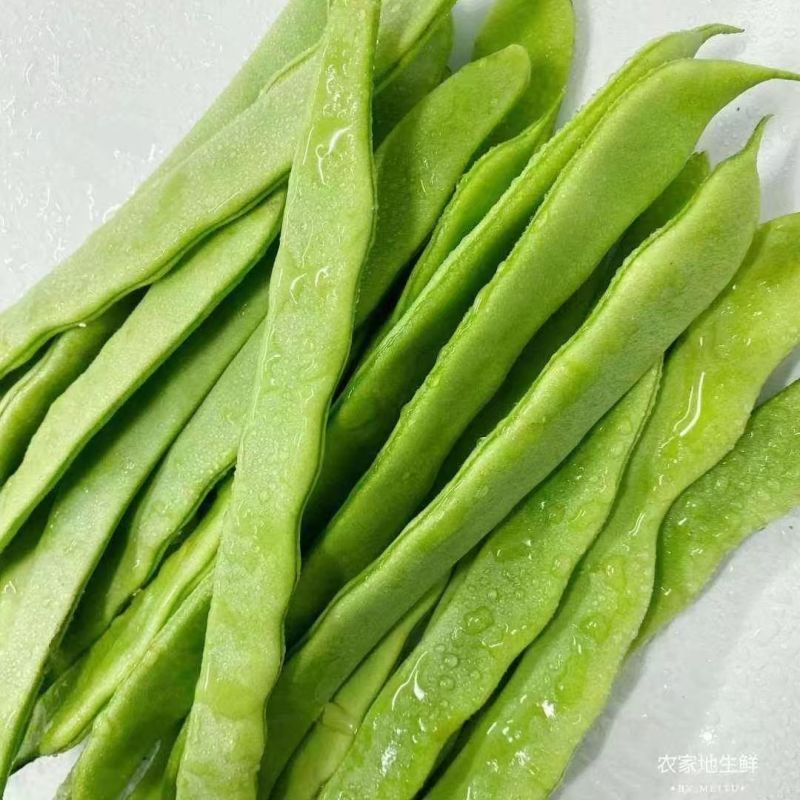 云南新鲜上市扁豆对接全国市场价格美丽质量好欢迎询价