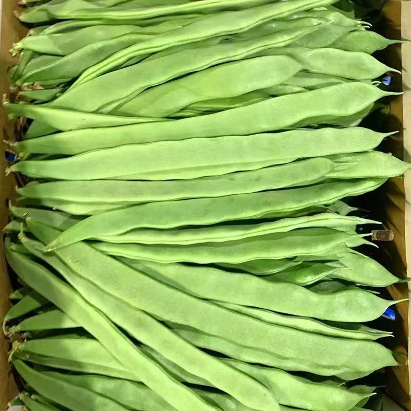 云南新鲜上市扁豆对接全国市场价格美丽质量好欢迎询价