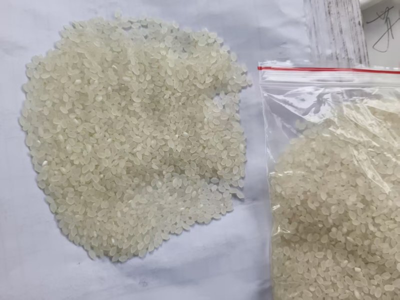 出售：一级珍珠米，23-24年原粮现抛，批拉批结