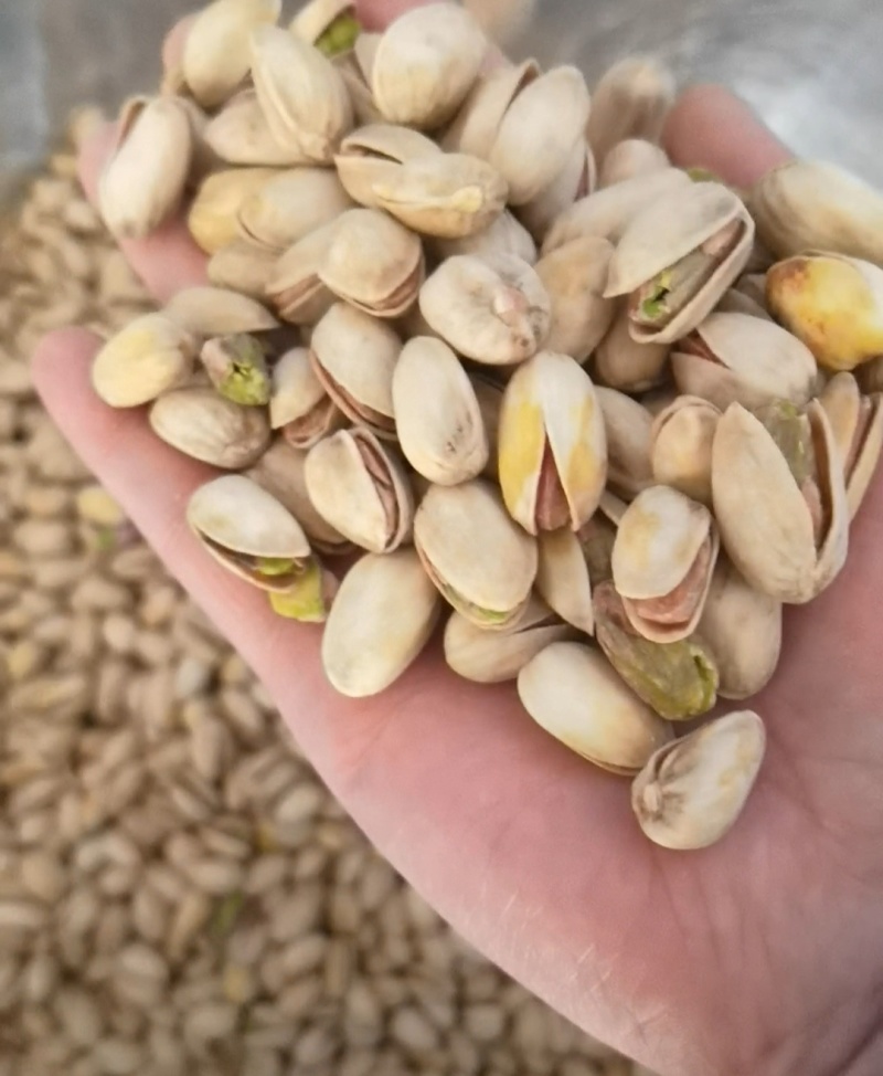 开心果原色无漂白