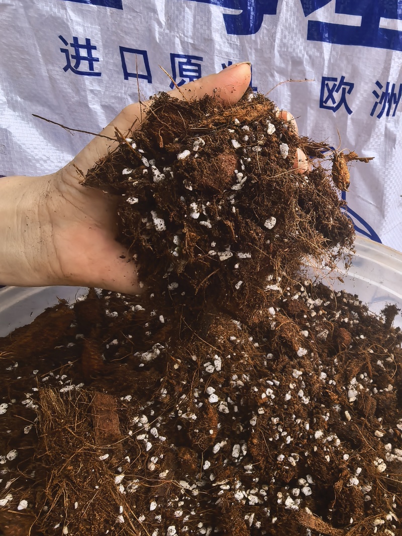 蓝莓基质种植基地专用