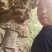 湘西野蜂蜜蜂蜜买一送一限量20单欢迎来电采购洽谈