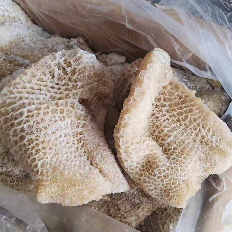 穆智鑫金钱肚