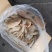 穆智鑫金钱肚