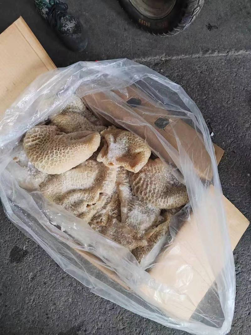 穆智鑫金钱肚